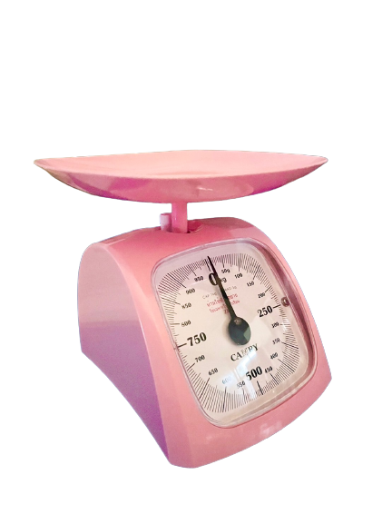เครื่องชั่งเบเกอรี่ ตรา CAMRY รุ่น KCT พิกัด 1 กก. คละสี เขียว ชมพู