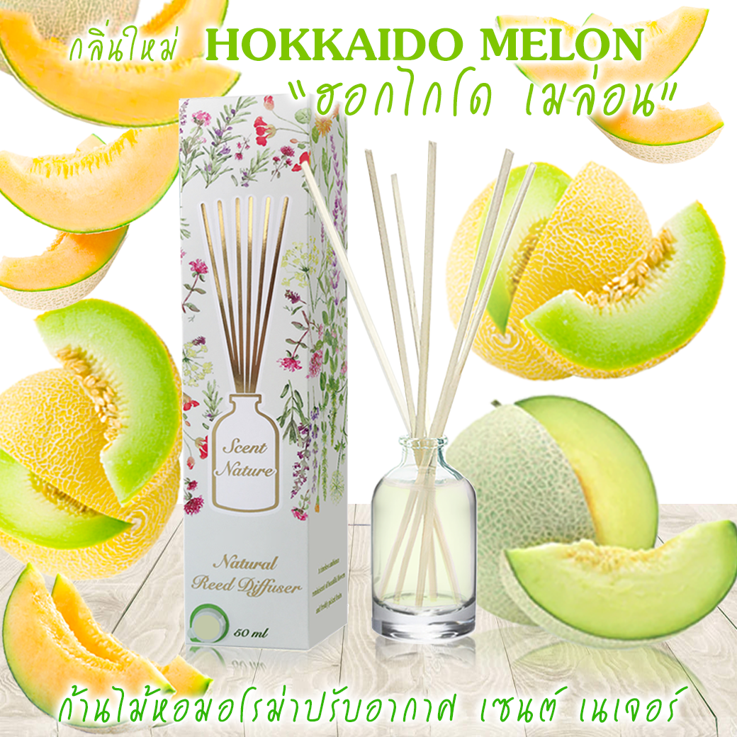 HOKKAIDO MELON ฮอกไกโดเมล่อน