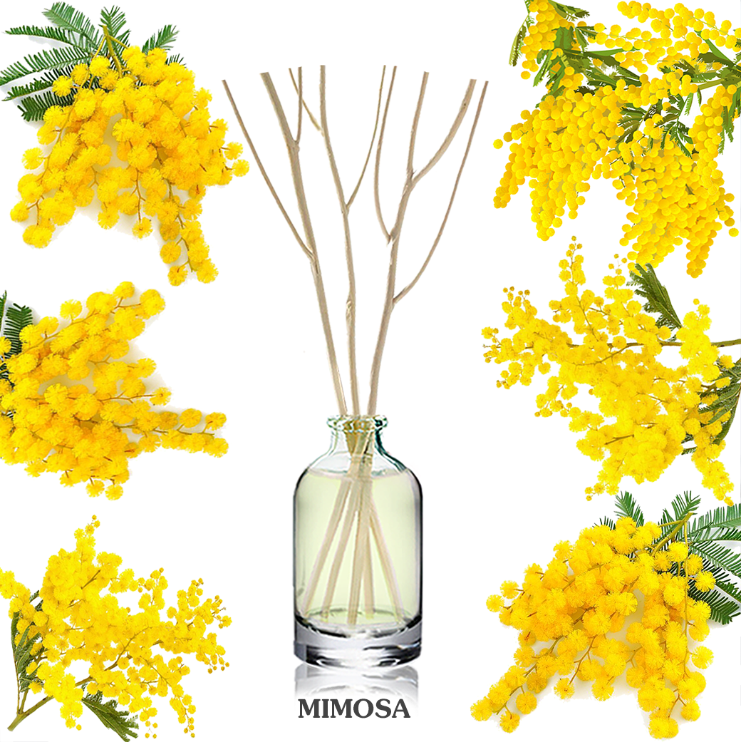 ก้านไม้หอมปรับอากาศขนาดมินิ 15ml MIMOSA ดอกมิโมซ่า
