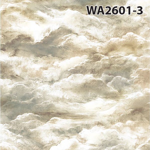 ลายก้อนเมฆ 2601-3