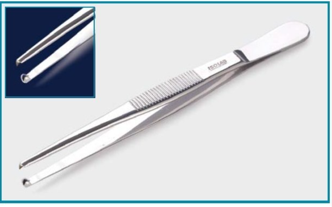 FORCEPS - ปลายทู่/ตรง- blunt/straight - มีเขี้ยว, ISOLAB