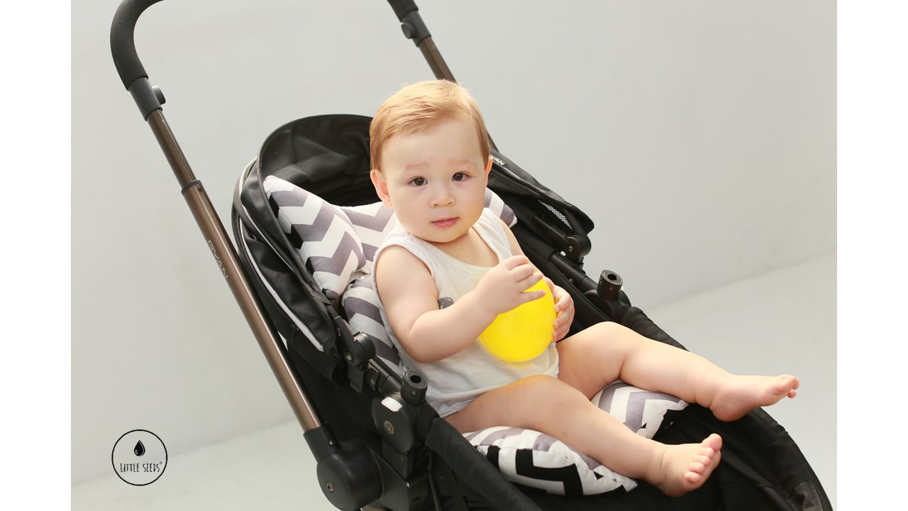 LITTLE SEEDS (ลิตเติ้ลซี๊ด) Stroller inner seat เบาะรองนั่งสำหรับรถเข็น คาร์ซีท และเก้าอี้โยก
