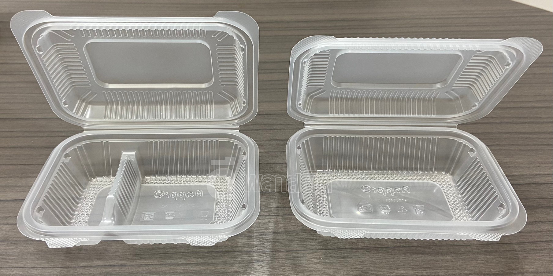 กล่องข้าว PP ฝาติด