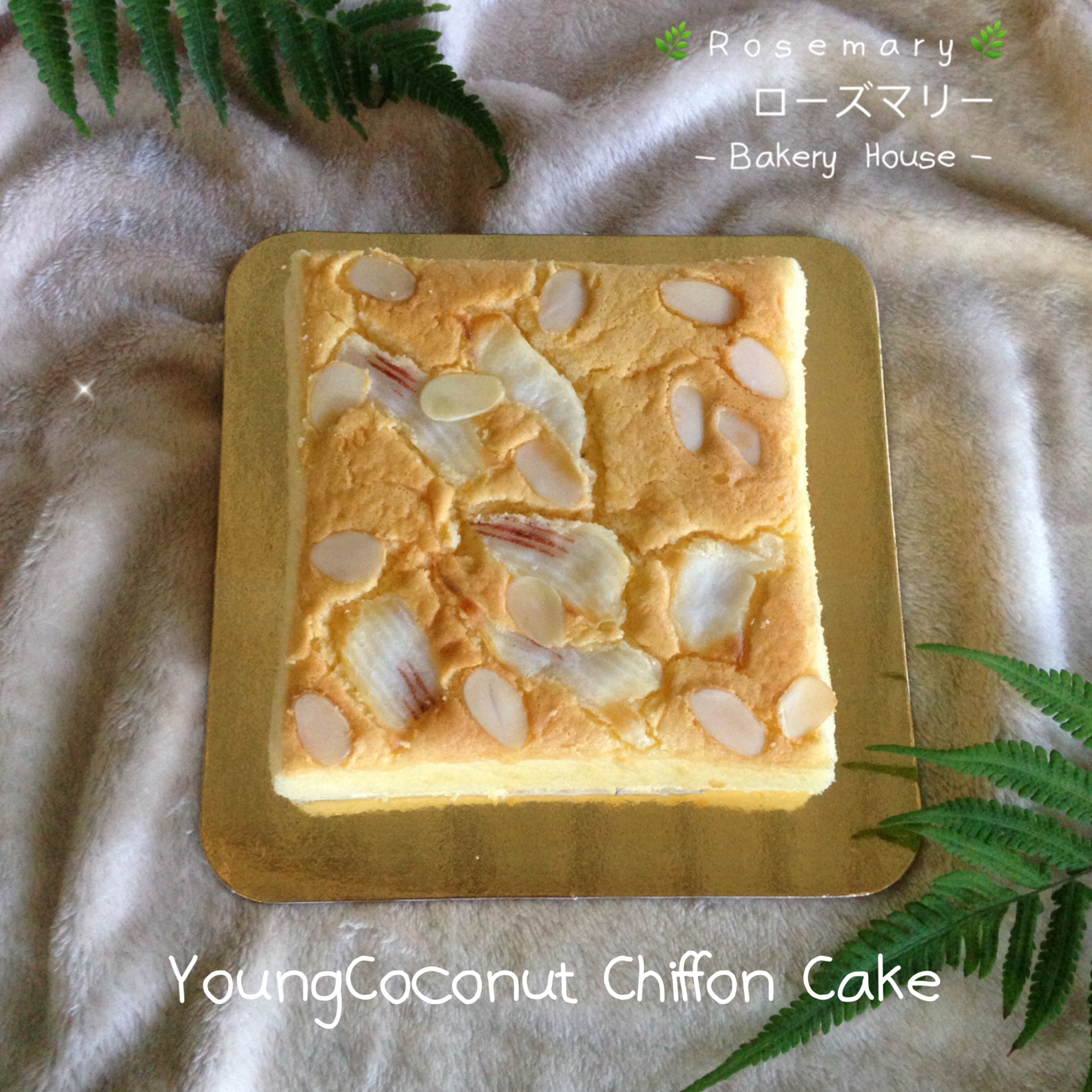 เค้กชิฟฟ่อนอัลมอนด์มะพร้าวอ่อน (2 ปอนด์) Young Coconut & Almond Chiffon Cake ( 2 Pound / 7" X 7")