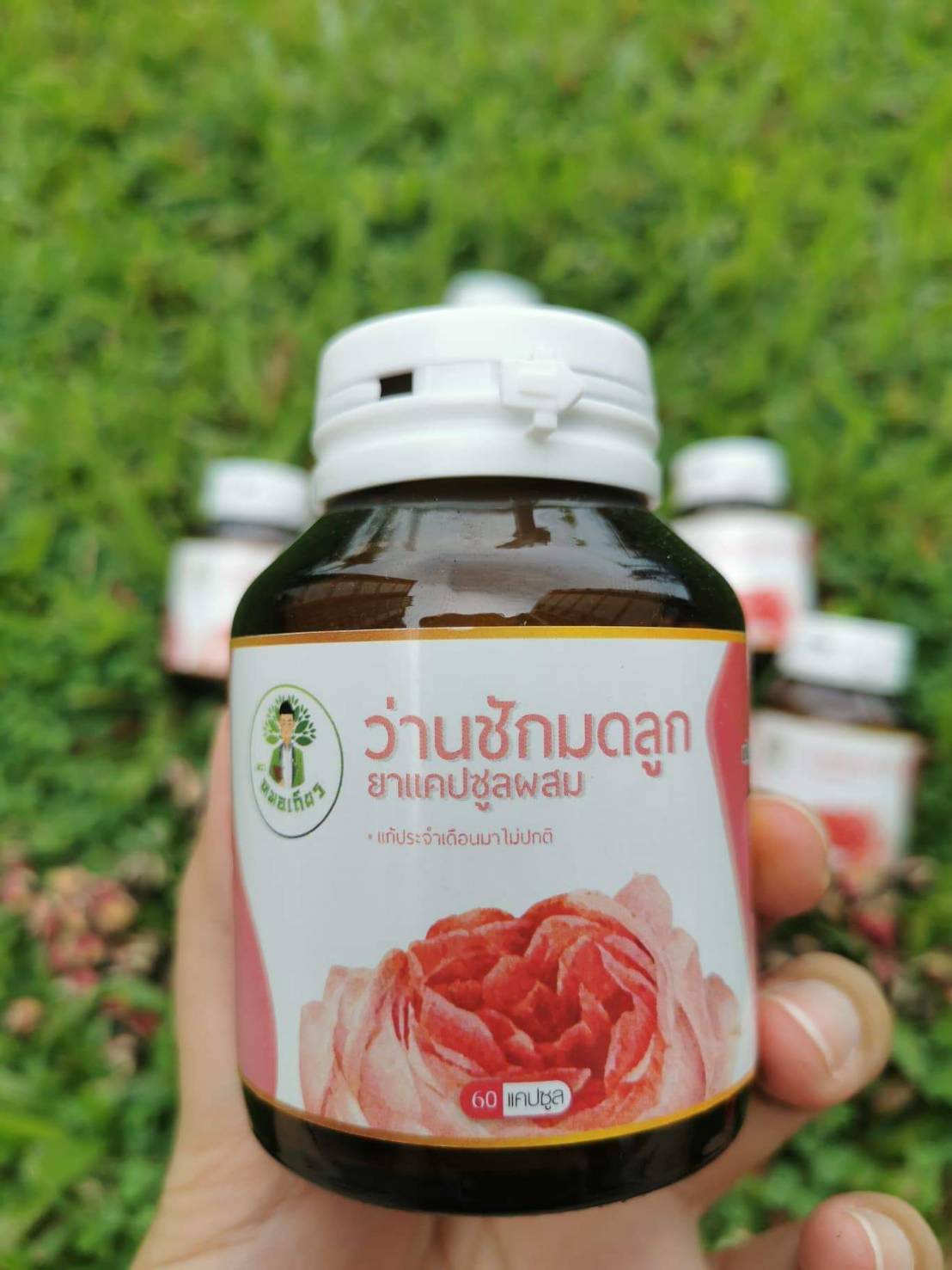สมุนไพร ว่านชักมดลูก หมอเถียร หมอ เถียร