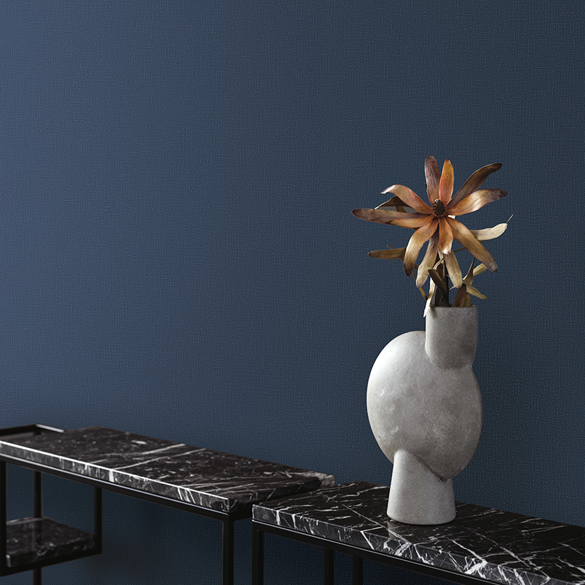 BASIC+ LIMITED Collection