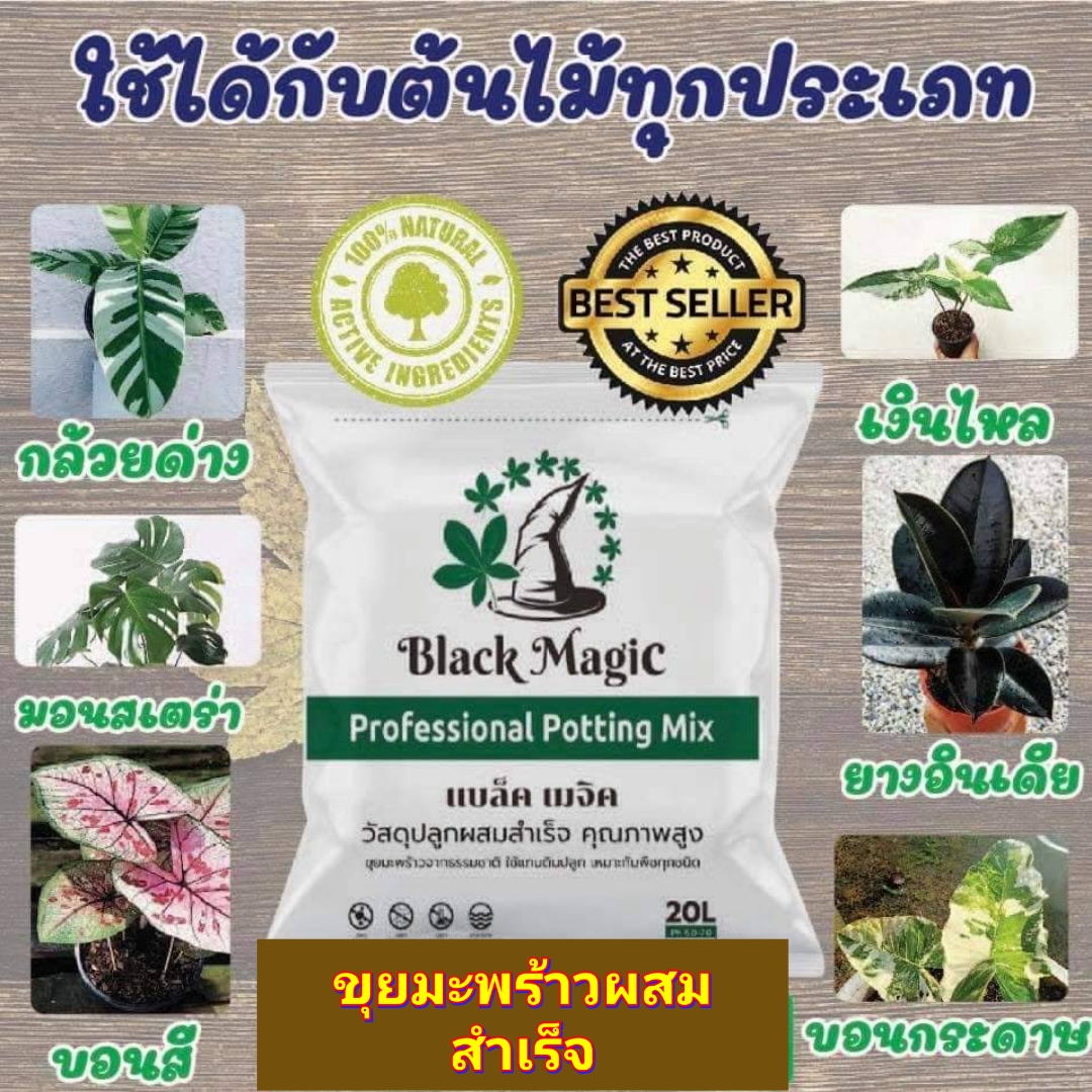 (20ml/1ถุง) ขุยมะพร้าวผสมสำเร็จ ดินปลูกต้นไม้ ดิน ขุยมะพร้าว ปลูกต้นไม้ Black magic แบล็คเมจิก วัสดุปลูกสำเร็จรูป / ณ ดินทอง