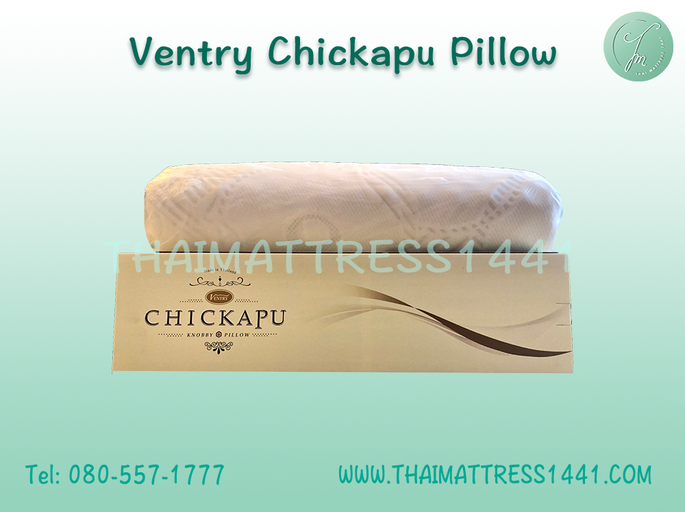 หมอนยางพารา Ventry Chickapu Pillow