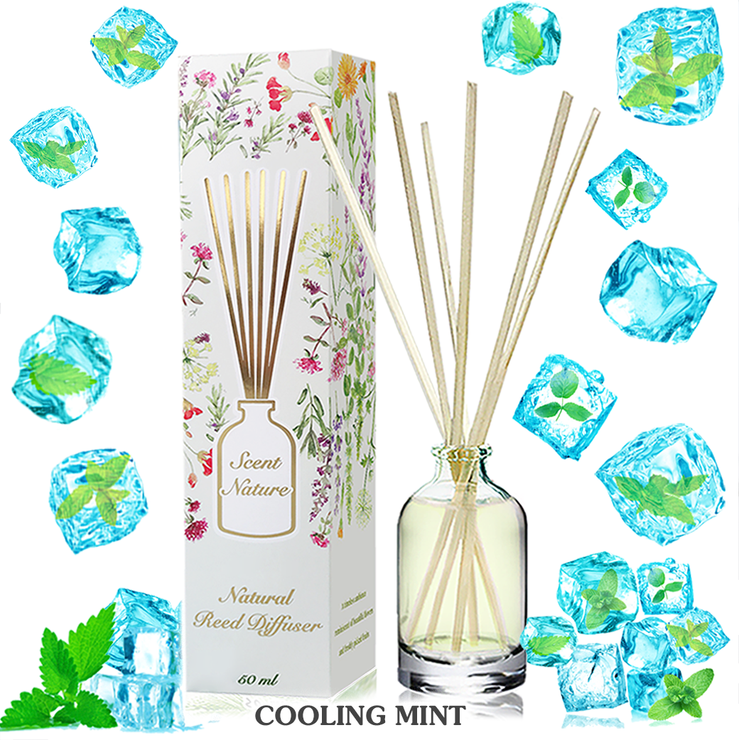 COOLING MINT คูลลิ่งมิ้นท์