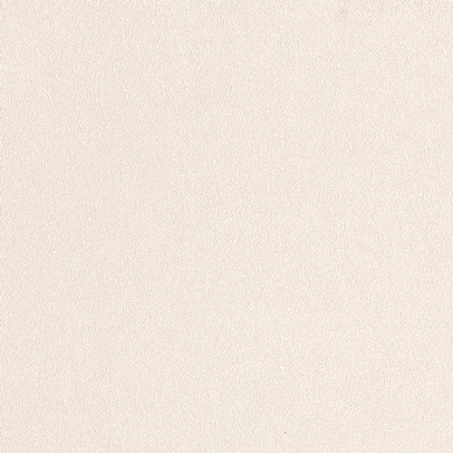 Bestie 2025 - BW Collection ลายมินิมอล