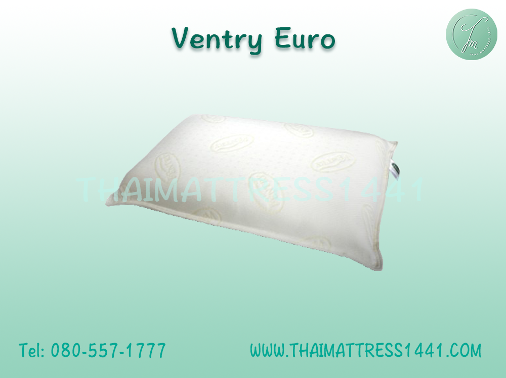 หมอนยางพารา Ventry Euro ขนาดใหญ่พิเศษ