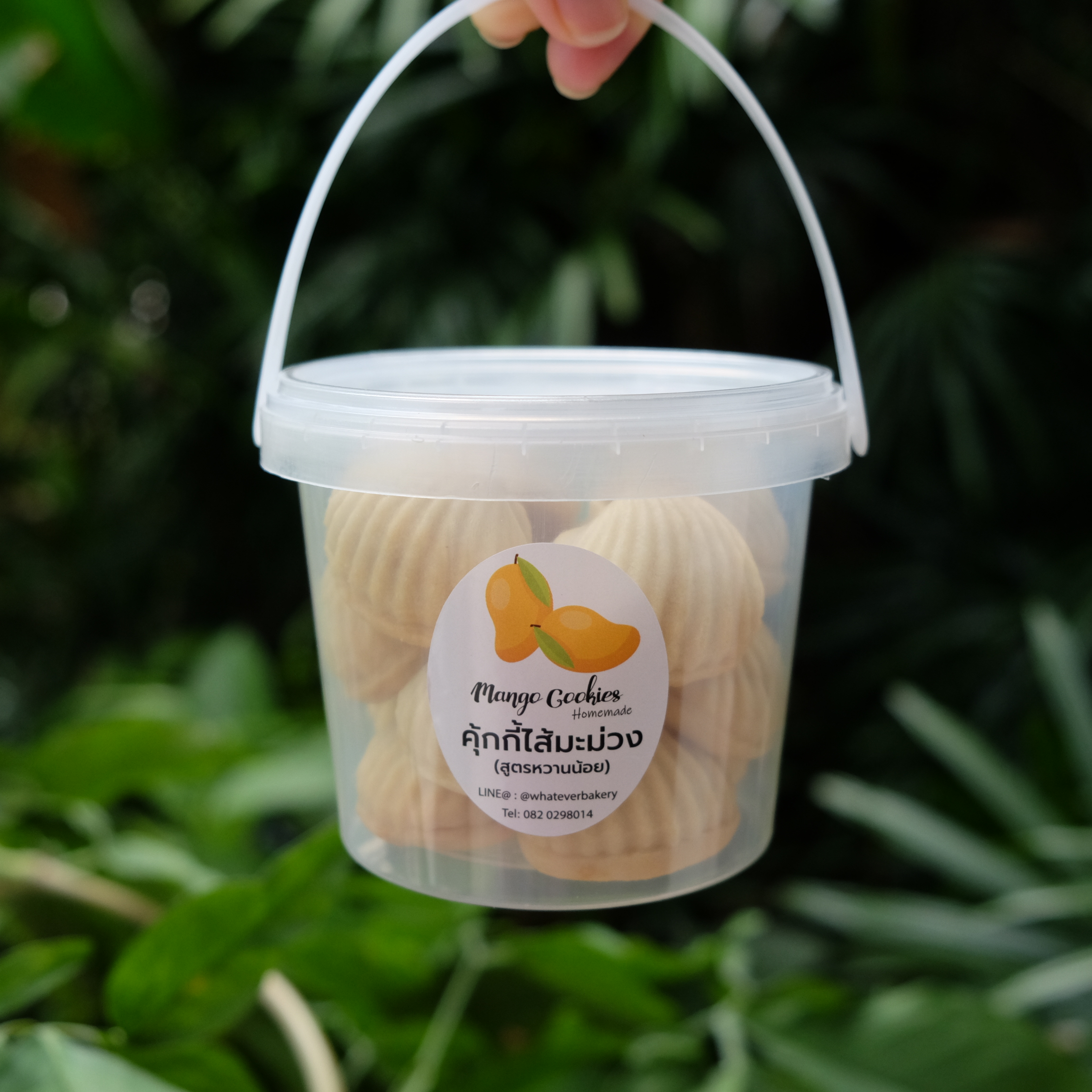 ✨คุ้กกี้มะม่วงมหาชนก (กระปุกใหญ่ L) ✨🥭🥭🥭🥭 Mahachanok Mango Cookies (Size L)