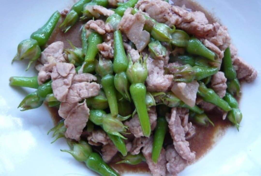 (ขาย เมล็ด ) เมล็ดถั่วกาหยี เมล็ด ถั่วกาหยี ต้นถั่วกาหยี / พืชพรรณ