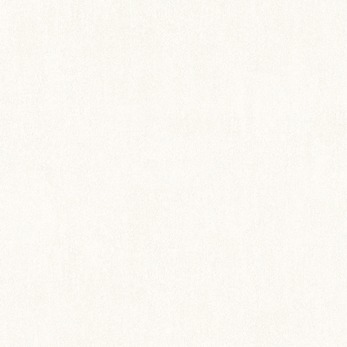 Bestie 2025 - BW Collection ลายมินิมอล