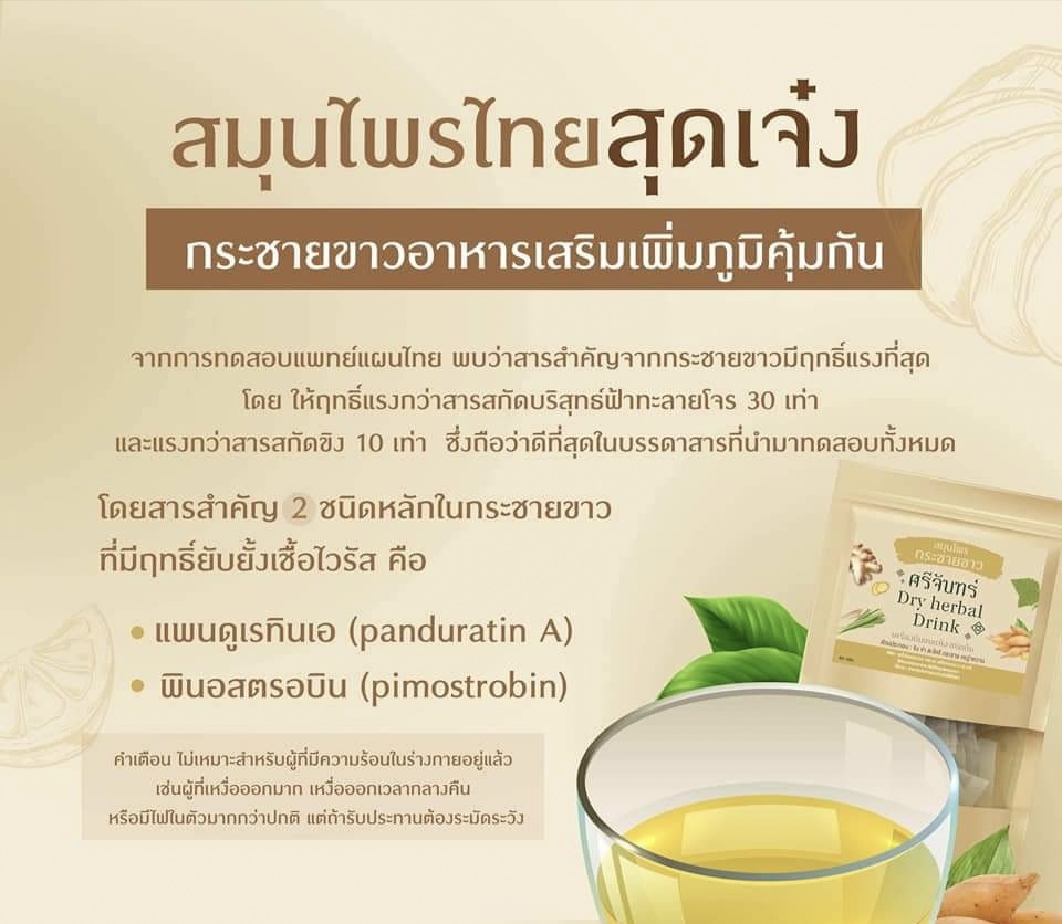 ชา ชากระชาย ชากระชายขาว กระชาย กระชายขาว ศรีจันทร์ dry herbal drink