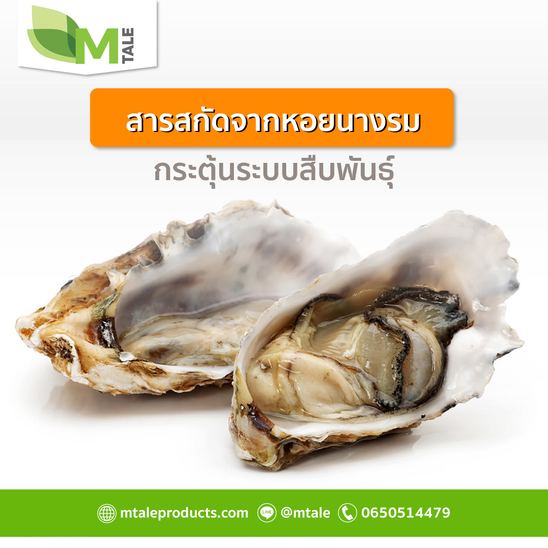 สังกะสีในหอยนางรม สำหรับวัยทอง 