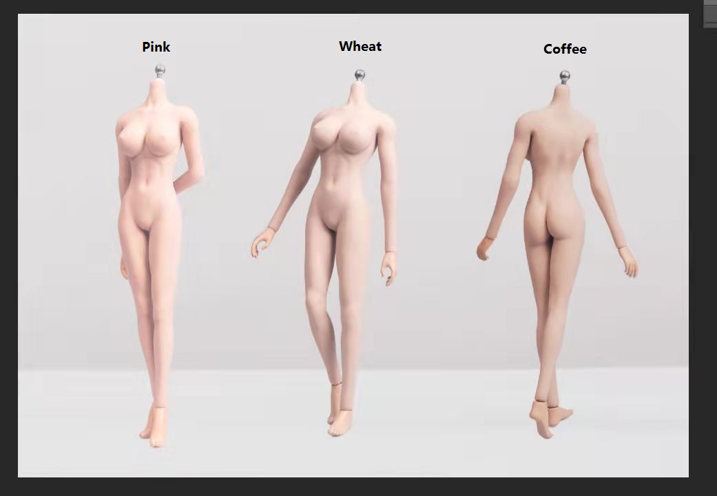 NewTechToys NewTech G001 1/6 Female Body
