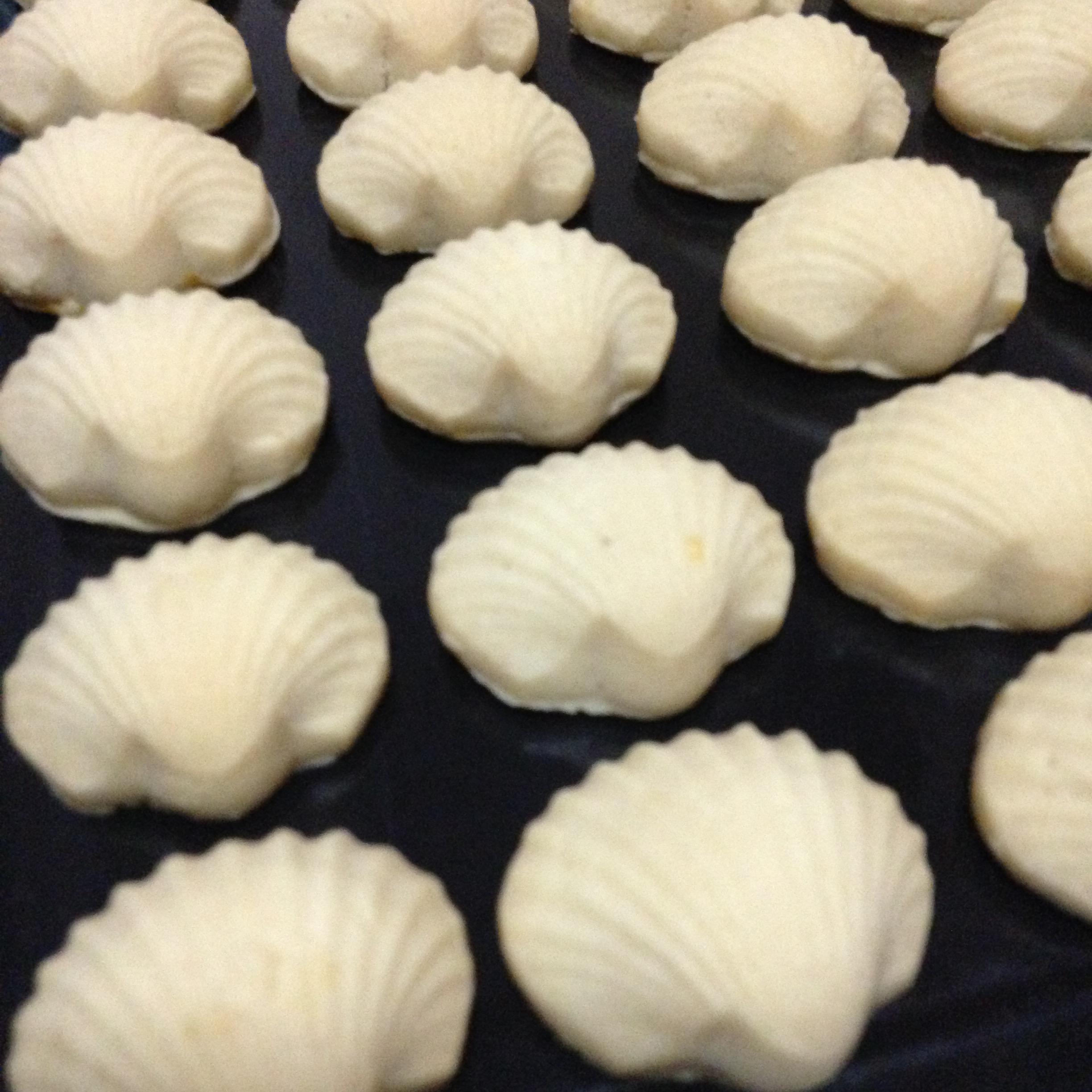 ✨คุ้กกี้มะม่วงมหาชนก (กระปุกใหญ่ L) ✨🥭🥭🥭🥭 Mahachanok Mango Cookies (Size L)