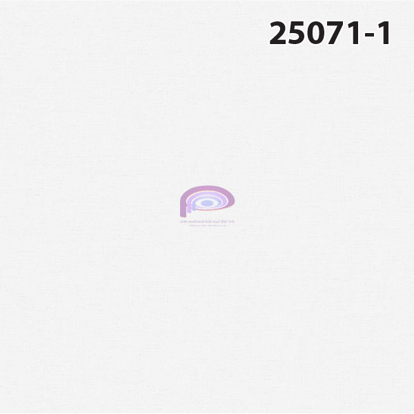 วอลล์เปเปอร์สีขาว Modern 2024