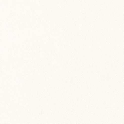 Bestie 2025 - BW Collection ลายมินิมอล