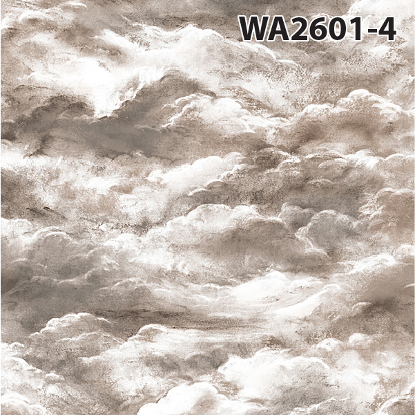 ลายก้อนเมฆ 2601-4