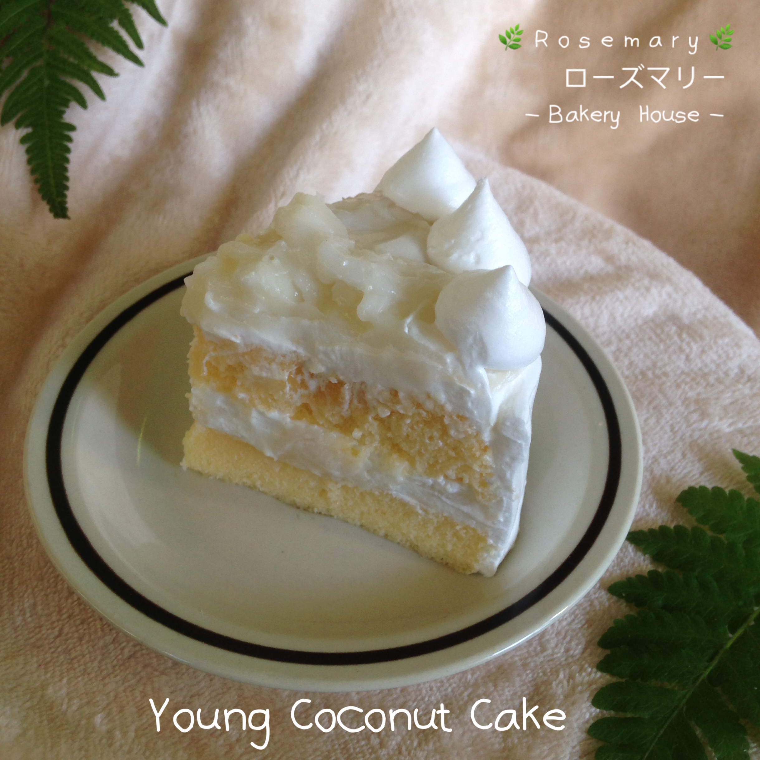 🌴เค้กมะพร้าวอ่อน🌴 Young Coconut Cake (ชิ้นเล็ก)