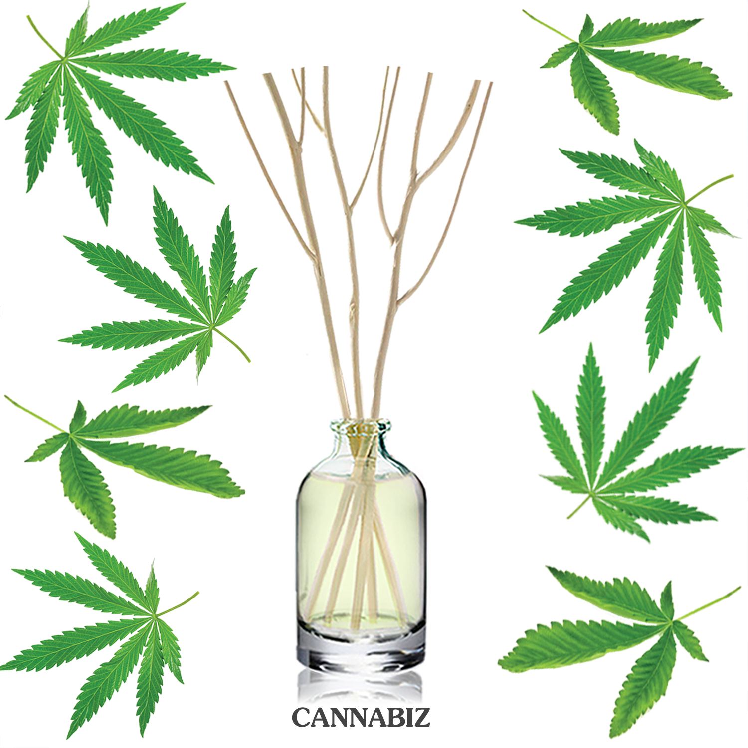 ก้านไม้หอมปรับอากาศขนาดมินิ 15ml CANNABIZ พืชสมุนไพร กัญช์