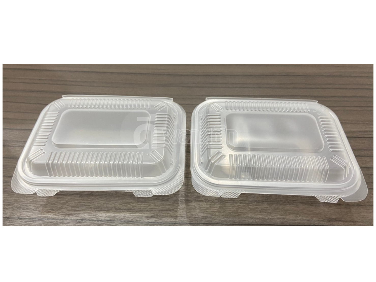 กล่องข้าว PP ฝาติด