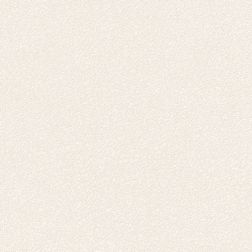 Bestie 2025 - BW Collection ลายมินิมอล