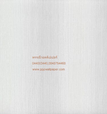 วอลล์เปเปอร์ติดผนังสไตล์โมเดิร์น