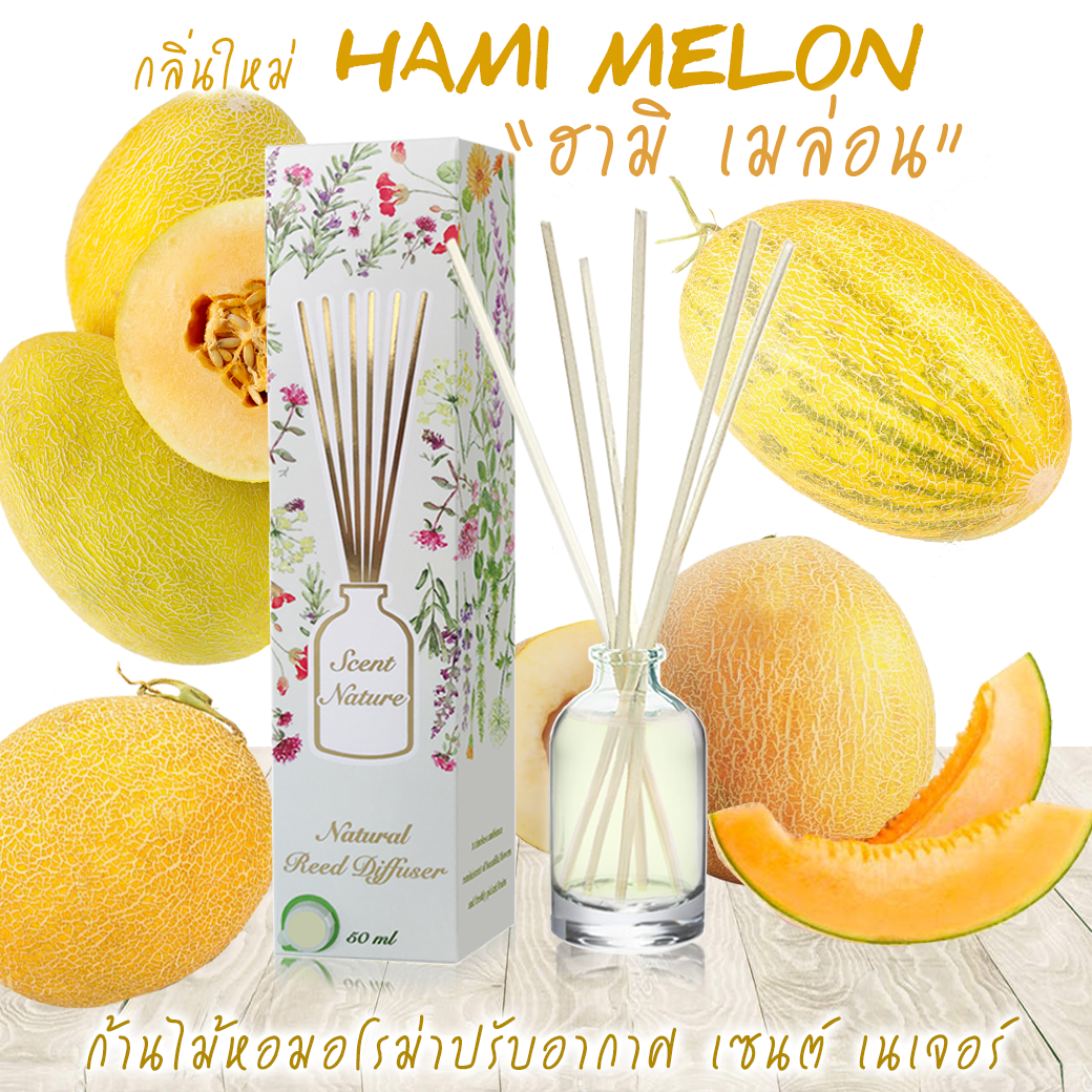 HAMI MELON ฮามิเมล่อน