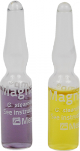 MagnaAmp 10^6 -G. stearothermophilus-สำหรับทดสอบประสิทธิภาพเครื่อง autoclave(50 ชิ้น/แพ็ค)