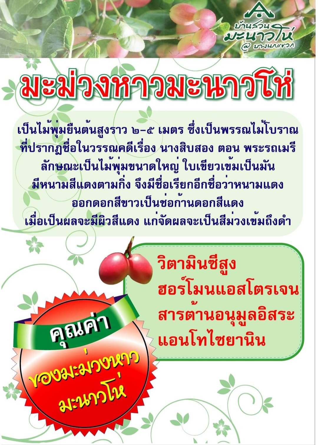 น้ำมะม่วงหาวมะนาวโห่ 100% สิริสมปอง Karanda juice สวนมะนาวโห่ลุงศิริ & สูตร ไซเดอร์ cider