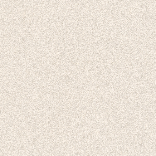 Bestie 2025 - BW Collection ลายมินิมอล