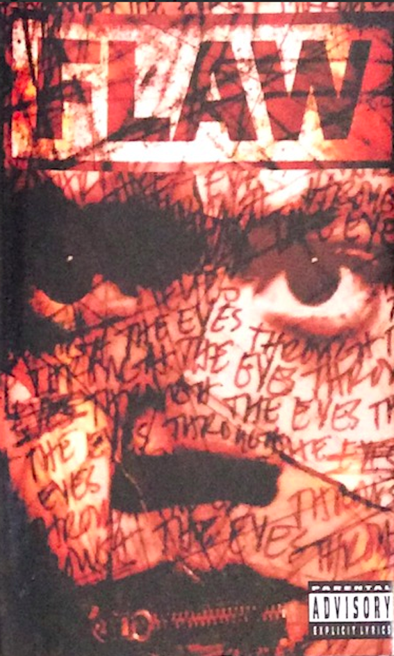 Flaw Through The Eyes cassette