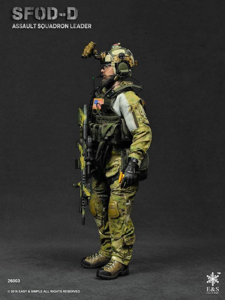 Easy & Simple 26003 SFOD-D Assault Squadron Leader