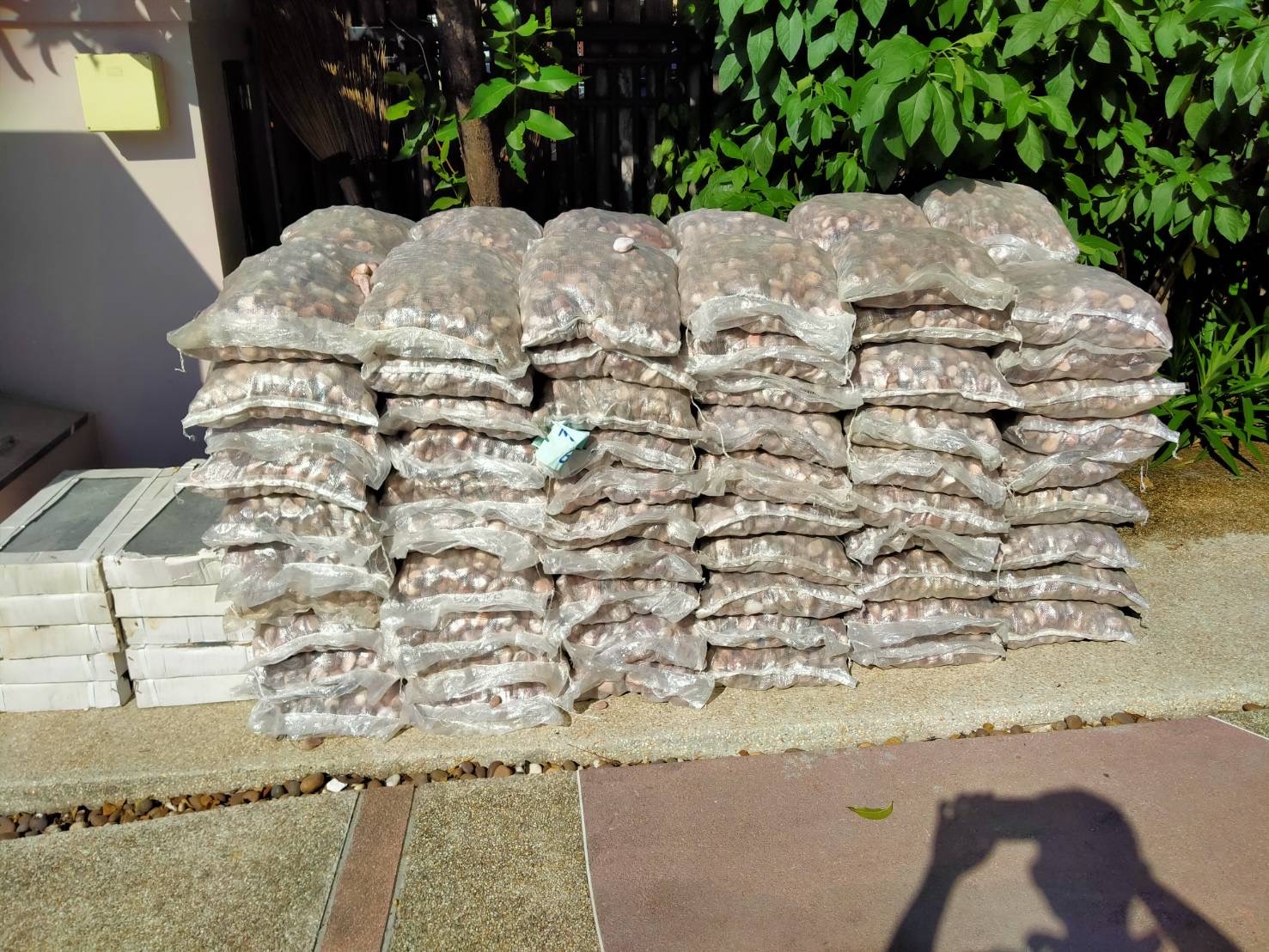 หินกรวดทะเล หลากสี