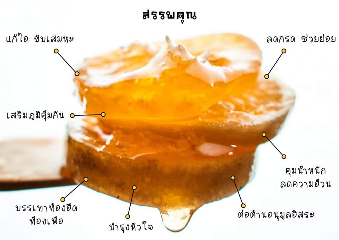 เลมอนเคลือบน้ำผึ้งป่าแท้ 100% lemon house เกรดพรีเมี่ยม เลม่อน เฮ้าส์