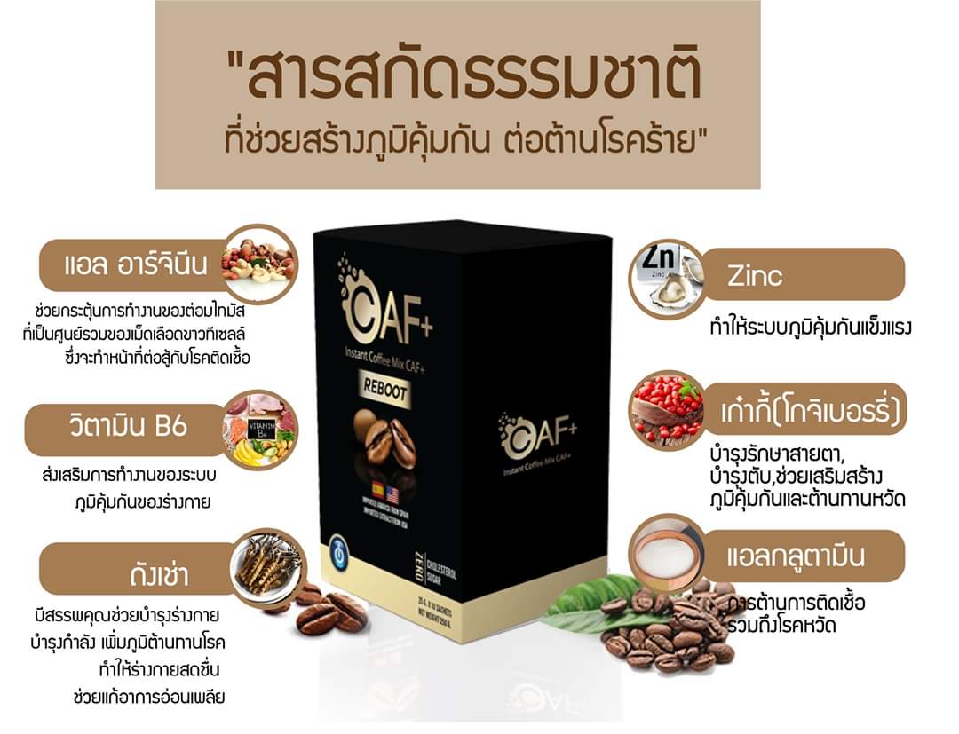 กาแฟ แบรนด์ caf plus coffee แคฟพลัส คอฟฟี่ กาแฟเพื่อสุขภาพ แคปพลัส cafplus