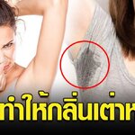 แพทย์ศิริราชเผย วิธีทำให้กลิ่นเต่าหาย ไม่รบกวนผู้อื่น