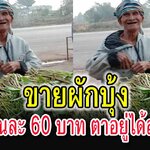 คุณตาวัย 77ปี ขายผักบุ้งเลี้ยงชีพได้วันละ 60บาท อยู่ได้สบาย