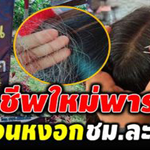 อาชีพพารวยมาแรงรับจ้างถอนผมหงอกสร้างรายได้งาม