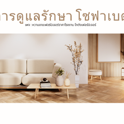 การดูแลรักษา โซฟาเบด ให้ใช้งานได้ยาวนาน ควรดูแลทั้งในส่วนของ “โครงสร้างภายใน” และ “วัสดุภายนอก”