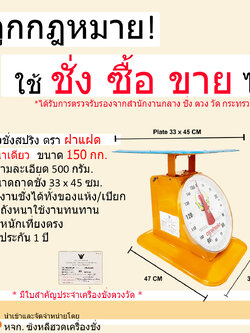 เครื่องชั่งสปริง ตราฝาแฝด ตัวถังเหล็ก พิกัด 150 กก. จานแบน