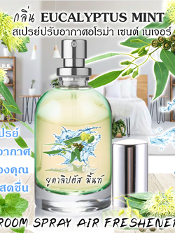 Spray Air Freshener 120ml กลิ่น EUCALYPTUS MINT
