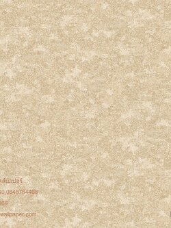 วอลล์เปเปอร์ติดผนังสไตล์โมเดิร์น