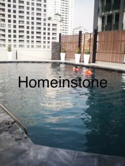 หินปูสระว่ายน้ำ Silver Grey