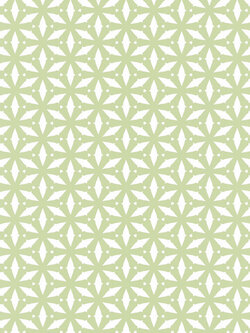 วอลล์เปเปอร์ติดผนังสไตล์โมเดิร์น