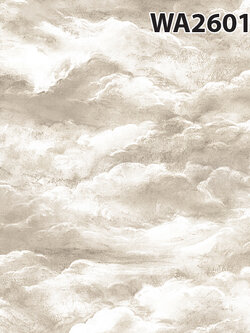 ลายก้อนเมฆ 2601-2