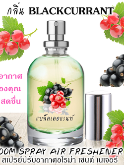 Spray Air Freshener 120ml กลิ่น BLACKCURRANT